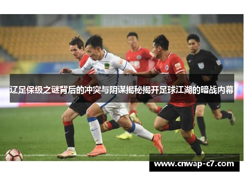 辽足保级之谜背后的冲突与阴谋揭秘揭开足球江湖的暗战内幕