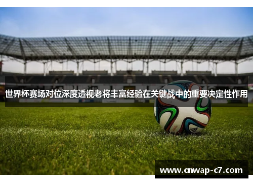 世界杯赛场对位深度透视老将丰富经验在关键战中的重要决定性作用